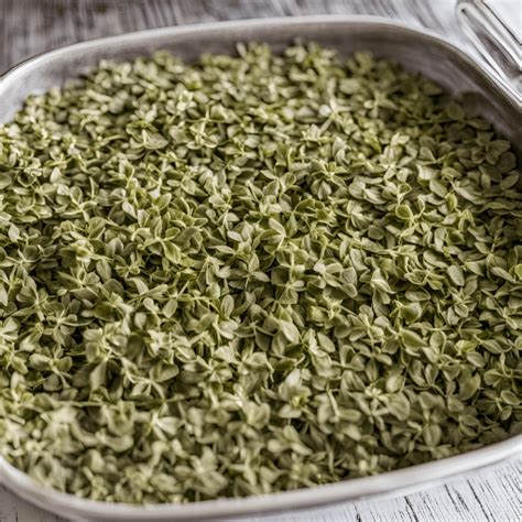 How To Dry Herbs In A Microwave The Ultimate Guide To Drying Oregano