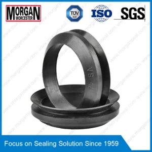 Vs Profile V Ring Rubber Seal China V Ring And V Ring Seal