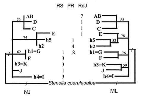 Neighbour Joining Nj And Maximum Likelihood Ml Genealogies Of