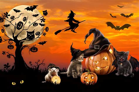 Halloween October Fall - Free photo on Pixabay - Pixabay