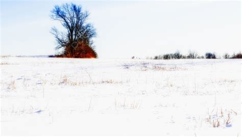 Winter Landscape White Winter Wonderland Landscape Photo Background And ...