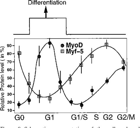 Figure 9 From The Muscle Regulatory Factors MyoD And Myf 5 Undergo