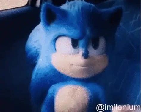 The Sonic Sonic The Hedgehog Blur Lego Movies Fictional Characters