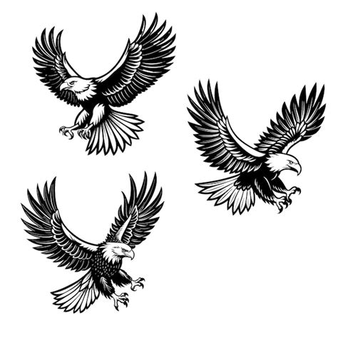 Black And White Vector Illustration Of Flying Eagle Isolated On White