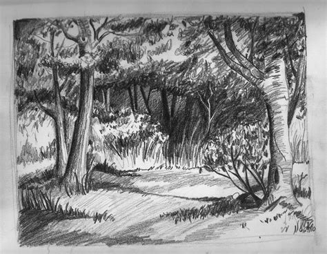 Forest Scene Sketch At Explore Collection Of