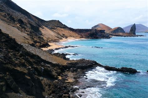 Tempat Berkumpulnya Fauna Unik 5 Fakta Kepulauan Galapagos