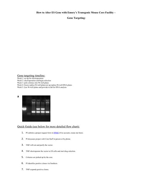How To Alteres Gene With Emory S Transgenic Mouse Core Facility Docest