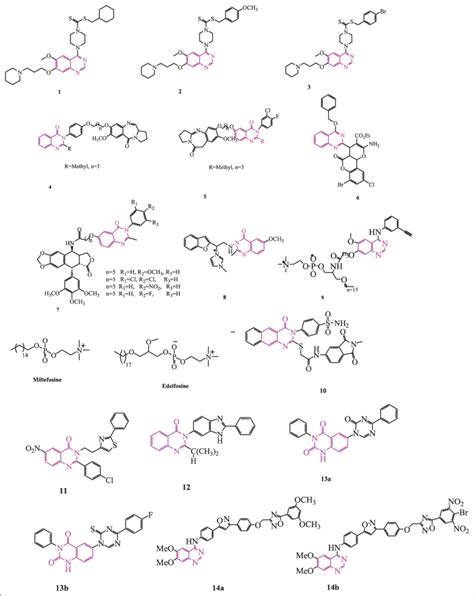 Quinazoline Hybrids With Anticancer Activity Download Scientific Diagram