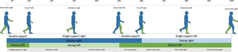 The Gait Cycle Physiopedia