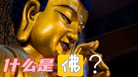 佛教：拜佛供佛，你真知道什么才是佛吗？文化宗教好看视频