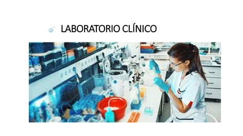 Solution Clinical Laboratory Laboratorio Cl Nico Studypool