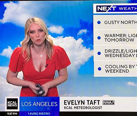 Evelyn Taft KCAL Los Angeles : r/newsbabes