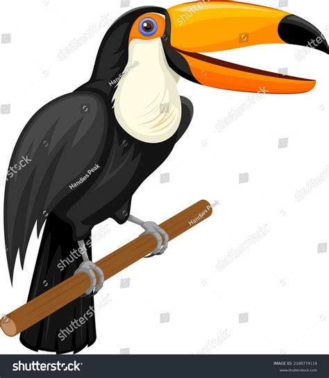 Vector Illustration Happy Cartoon Toucan On Stock Vector Royalty Free