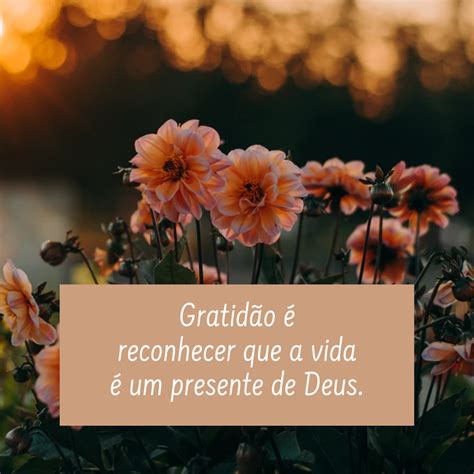 Grato A Deus Ou Grato À Deus - Gratidão A Deus Ou à Deus - NAZAEDU