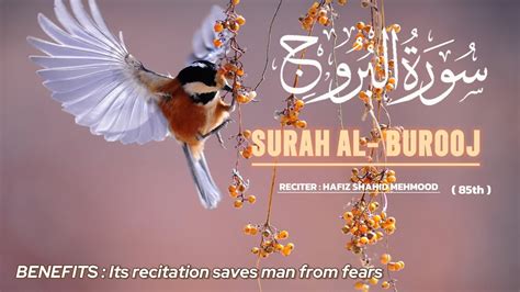 Surah Al Burooj Quran Recitation Recited BY HAFIZ SHAHID MEMOOD