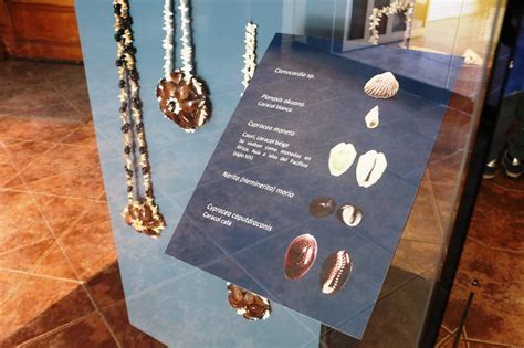 Collares De Rapa Nui Museo De Historia Natural De Concepción