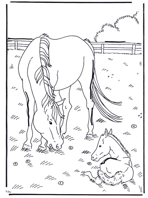 Coloriage Cheval Grand Galop