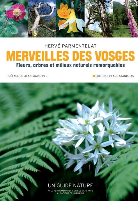 couverture amelioree livre herve parmentelat Lycée Professionnel