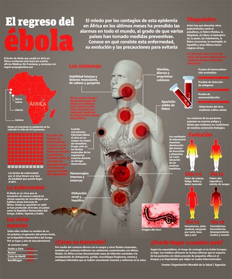 Virus Del Ebola La Oms Alerta De Que Varios Supervivientes De ébola