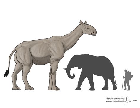 Paraceratherium by paleoalberca on DeviantArt