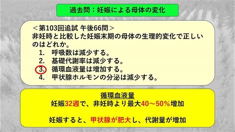 ・事実から考え・学び合う！（第290回）：妊娠に伴う母体の生理的変化：第112回看護師国家試験、午後問題060問 Youtube