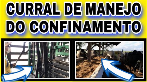 Curral De Manejo Do Confinamento De Bois Youtube