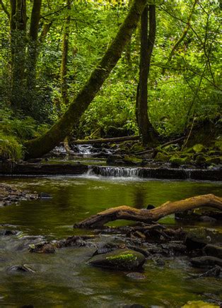 Edenfield Plunge The Hidden Waterfall In Manchester You Probably Didn