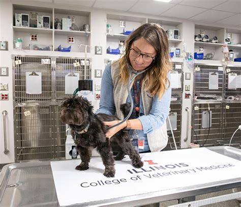 Animal Er Services With University Of Illinois Veterinary Teaching