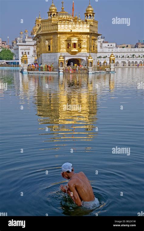 Sikh Pilgrim Bathing In The Sacred Pool The Golden Temple Punjab