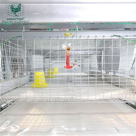 Modern Design Broiler Poultry Farm 3 Tiers 4 Tiers H Type Automatic