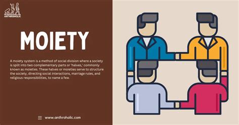 moiety system  anthropology anthroholic
