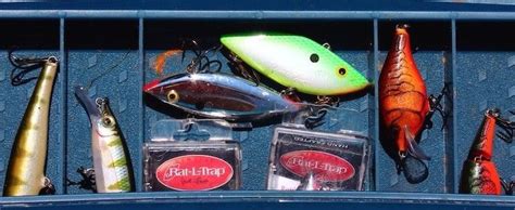 Types Of Fishing Lures Your Fish Guide