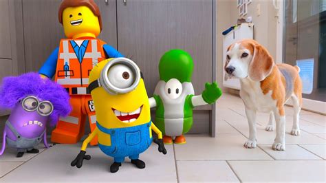 top  real life animation compilations youtube