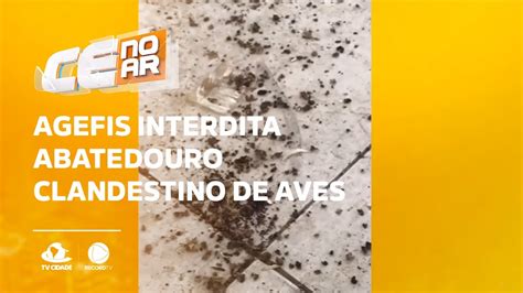 Agefis Interdita Abatedouro Clandestino De Aves Youtube