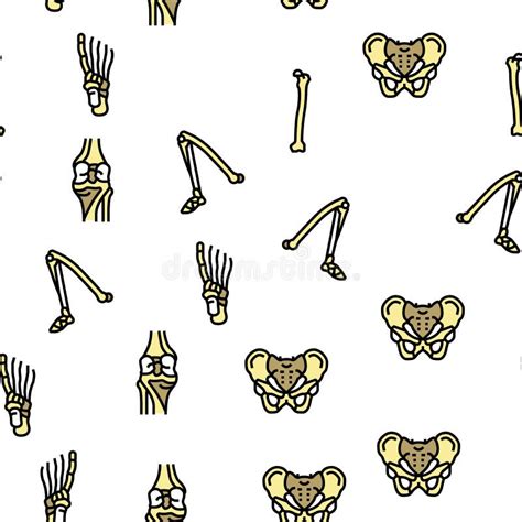 Bone Human Skeleton Structure Vector Seamless Pattern Stock Illustration Illustration Of