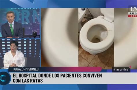 Ratas en el Hospital Fue un hecho aislado y se llamó a un equipo