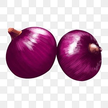 Onion PNG Vector PSD And Clipart With Transparent Background For