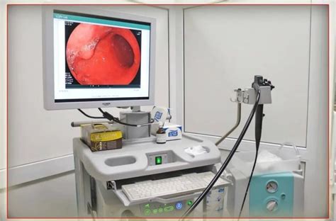 What Is Esophagogastroduodenoscopy Egd Gastroenterology Located In