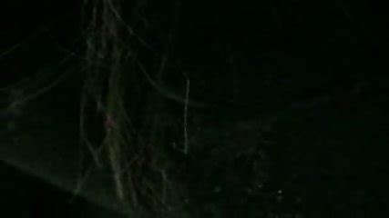 Amateur Suck Fuck At The Mal