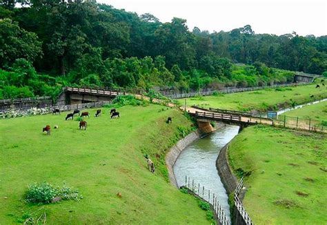 Tourist Places In Coorg Best Places To Visit Coorg