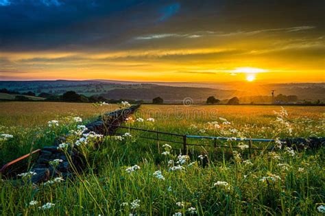 Sunset Over The Yorkshire Meadows Stock Photo Image Of Evening