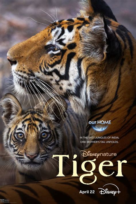 Tiger Movie Information Trailers Kinocheck