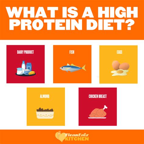 What Is A High Protein Dietunveiled