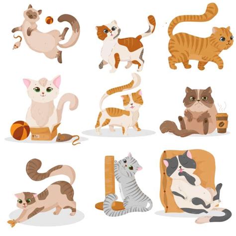 Fat Fluffy Cat Clip Art Illustrations Royalty Free Vector Graphics And Clip Art Istock