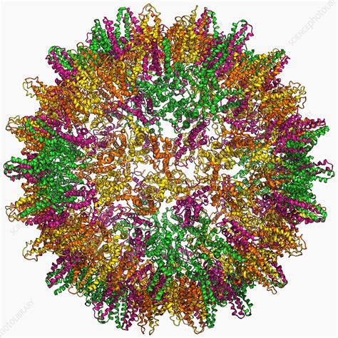 Hepatitis B Virus Capsid Molecular Model Stock Image F006 9594