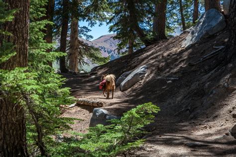 Hiking Mammoth’s Crystal Lake | CaliTrails