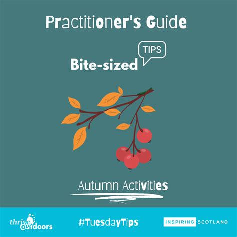 This Weeks Practitioners Guide Features Bite Sized Tips On The Best