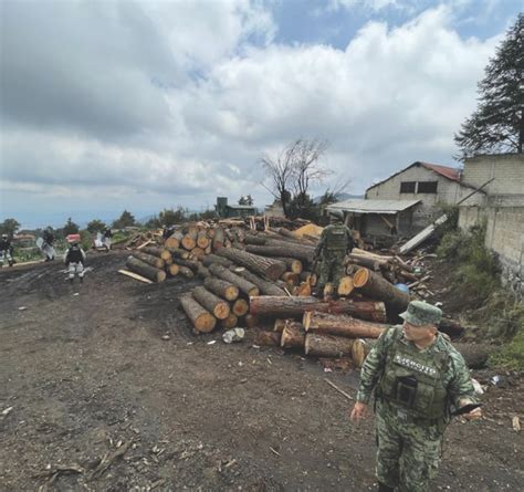 Cierran Gn Y Sedena Cuatro Aserraderos En Huitzilac La Jornada Morelos