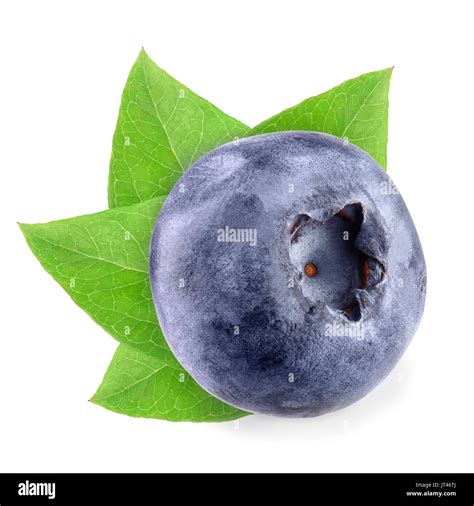 Single Blueberry