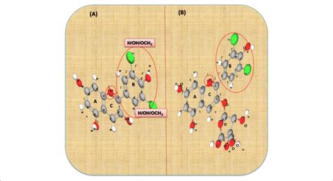 | The basic structure of anthocyanidin (A) and anthocyanin-3-glucoside ...